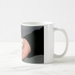 Shasta Daisy mug