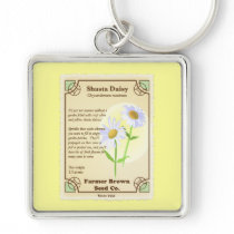 Shasta Daisy Seed Packet