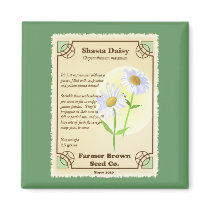 Shasta Daisy Seed Packet