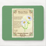 Shasta Daisy Seed Packet