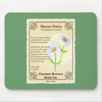 Shasta Daisy Seed Packet