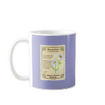 Shasta Daisy Seed Packet Coffee Mug