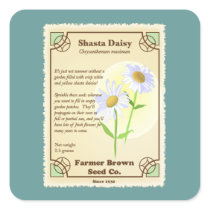 Shasta Daisy Seed Packet