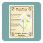 Shasta Daisy Seed Packet stickers