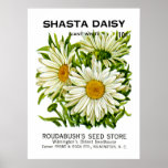 Shasta Daisy Vintage Seed Packet posters