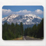 Shasta On The Road Again