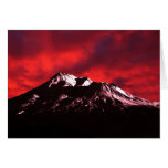 Shasta Red Cloud