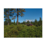 Shasta Trucker postcards