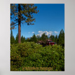 Shasta Trucker posters