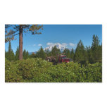 Shasta Trucker stickers