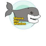 Shave the Whales t-shirts