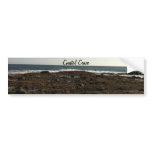 Shaw's Coastal Craze bumper stickers