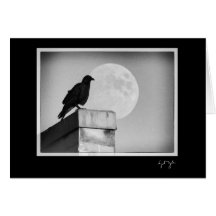 She is Bald and Wild Greeting Card