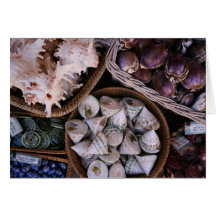 She Sells Sea Shells Card