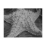 She sells seashells by the seashore postcard