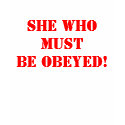SHE Who Must Be Obeyed! t-shirts