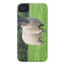 Sheal iPhone 4/4S Case-Mate Barely There™ Iphone 4 Cover