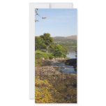 Sheen Falls rack cards