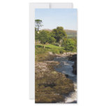 Sheen River rack cards