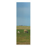 Sheep and Lamb Landscape Photo Bookmark Gift business cards