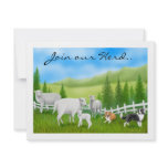 Sheep & Border Collies Custom Announcements