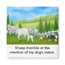 Sheep & Border Collies Magnet
