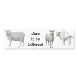 Sheep Dare to be Different Bumper Sticker