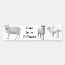 Sheep Dare to be Different Bumper Sticker