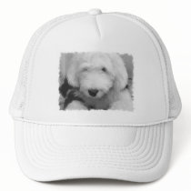 Sheep Dog Photo Baseball Hat