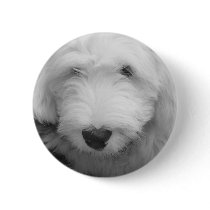 Sheep Dog Photo Round Button
