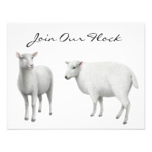 Sheep Farm Animal Invitations