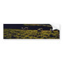 Sheep Grazing, North Island Bumper Sticker