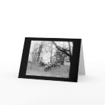 Sheep Grazing on the White House Lawn 1912 Greeting Card