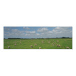 Sheep in Meadow Photo Bookmarks Business Cards