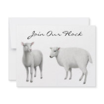 Sheep Invitation