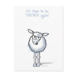 Sheep: It's time to be shorn again! postcards
