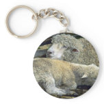 Sheep Keychains