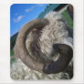 Sheep Mouse Mats