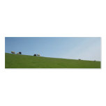 Sheep on Dutch Dike Holland Photo Bookmark business cards
