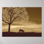 "Sheep on the Horizon 3"~Border Collie Poster