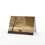 Sheep on the horizon~Border Collie Christmas cards