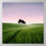 Sheep on the horizon...Border Collie Poster