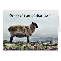 Sheep on the Rocks Card