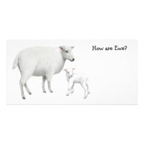 Sheep Photo Card