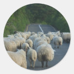 Sheep Roads Lambs Round Stickers