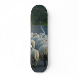 Sheep Roads Lambs skateboards