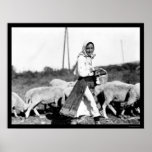 Sheep Shepherdess in Bulgaria 1890 Poster
