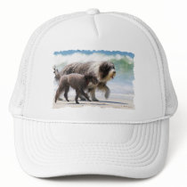 Sheepdog and Poodle - Me and My Pal