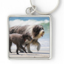 Sheepdog and Poodle - Me and My Pal