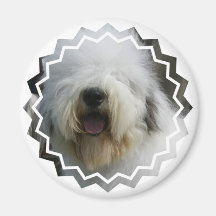 Sheepdog Circular Magnet